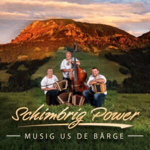 schimbrig power